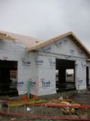 Before the shingles...