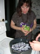 Brussel Sprouts Brussel Sprouts