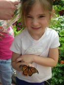 Lilly holding a butterfly Lilly holding a butterfly