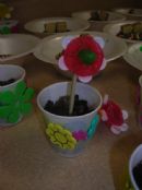 Edible flowers Edible flowers