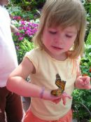 Kaya holding a butterfly Kaya holding a butterfly